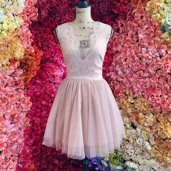 bebe Dresses & Skirts - Blush Bebe Birthday Dress size 6